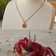 Red Aqua necklace